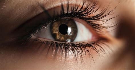 tesda eyelash extensions|Everything You Need to Know About Eyelash Extensions .